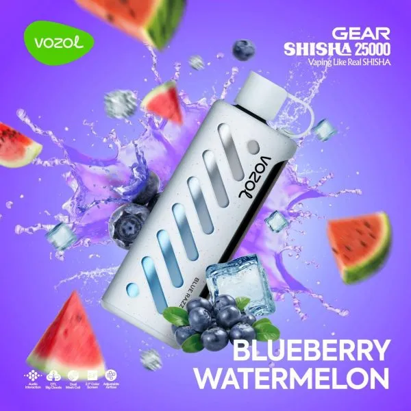 Vozol GEAR SHISHA 25000 Puffs Einweg Kit - 💥 Nehme 5 Zahle NUR 4! + Ab einem Einkauf von 100€ 2 Mystery Gratis💥