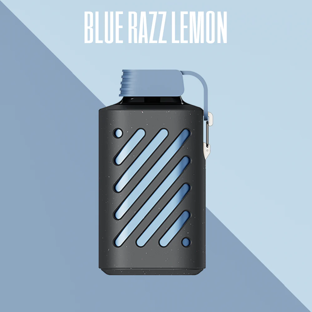 Vozol Gear 10000 Puffs Einweg Kit