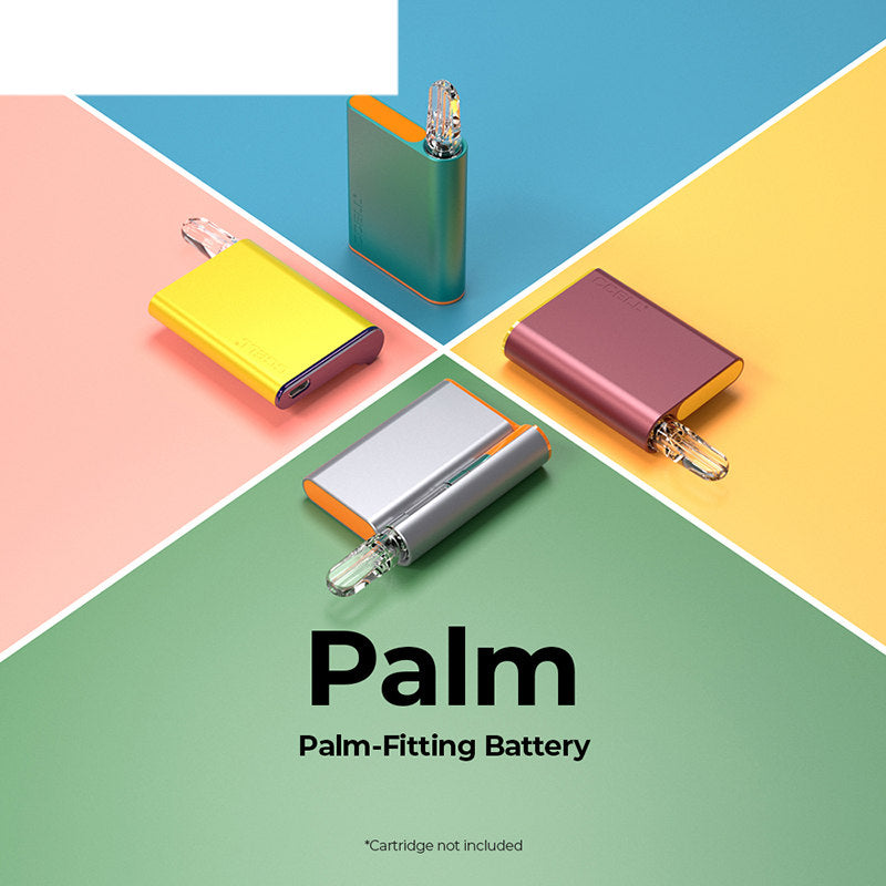 CCELL Palm 510 Batterie 500mAh