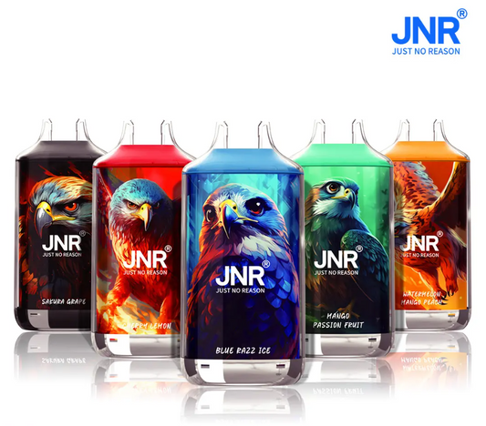 JNR Falcon 16000 Puffs Einweg Kit