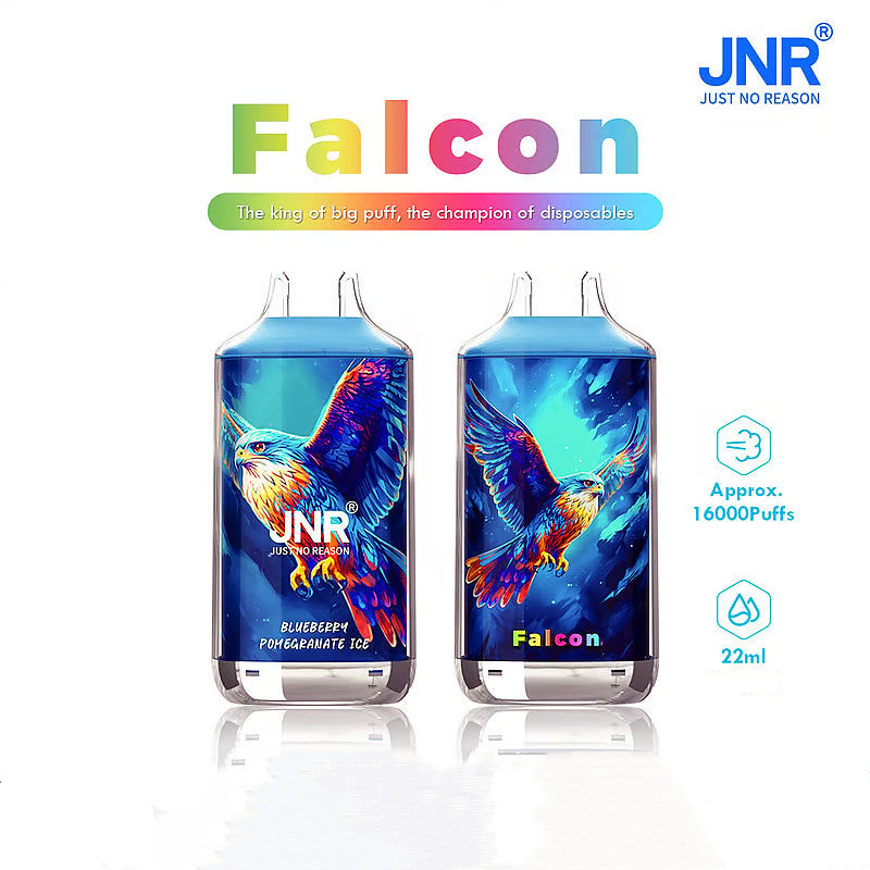 JNR Falcon 16000 Puffs Einweg Kit