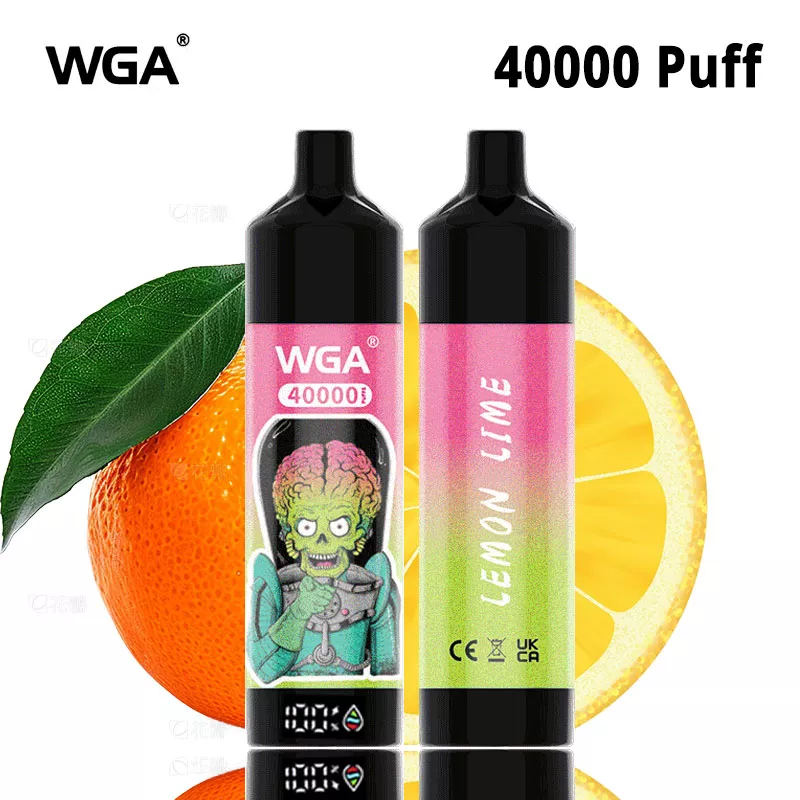 WGA 40000 Puffs Einweg Kit 35ml