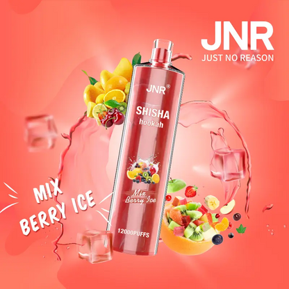 JNR Shisha Hookah 12000 Puffs DTL Wiederaufladbarer Einweg Vape - 📢EXKLUSIVES ANGEBOT - Nehme 4 Zahle NUR 3! + Kostenloser Versand ab einem Bestellwert von €150 📢