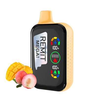 Remit Mega 18000 Puffs Wiederaufladbares Einweg Kit 18ml