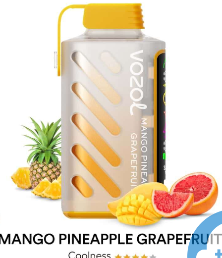 [Clearance Sale] VOZOL Gear Power 20000 Wiederaufladbares Einweg Kit (LED-Anzeige) - 💥 Nehme 4 Zahle NUR 3! + Ab einem Einkauf von 100€ 2 Mystery Gratis💥