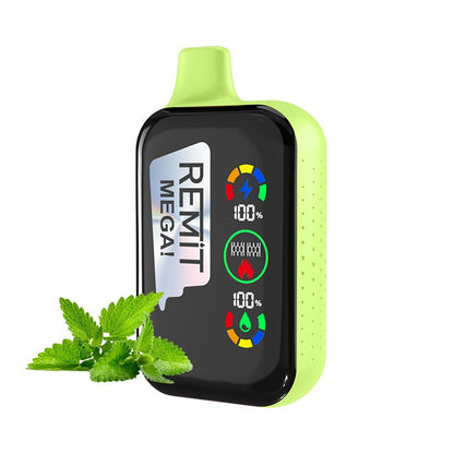 Remit Mega 18000 Puffs Wiederaufladbares Einweg Kit 18ml