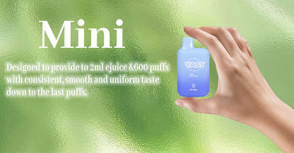 VASY Mini 600 Einweg E-Zigarette Kit 10 Stück/Packung