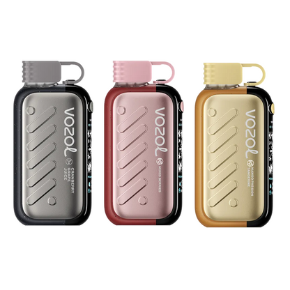 VOZOL Gear Ice & Sweet 50K Puffs Einweg Kit (50000 Puffs)