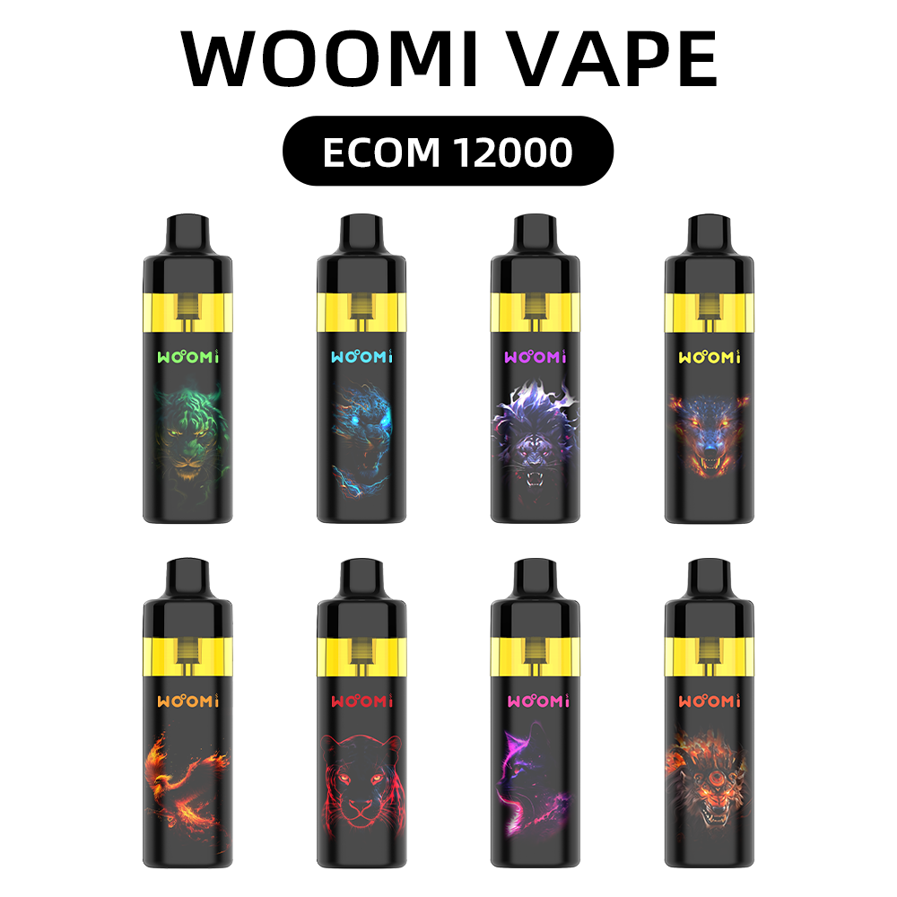 Woomi ECOM 12000 Refillable Pod Vape Kit 10 Stück/Packung