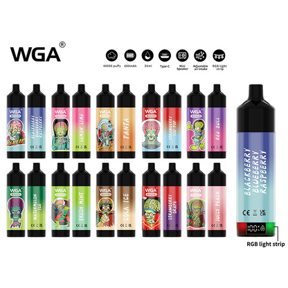 WGA 40000 Puffs Einweg Kit 35ml