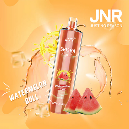 JNR Shisha Hookah 12000 Puffs DTL Wiederaufladbarer Einweg Vape - 📢EXKLUSIVES ANGEBOT - Nehme 4 Zahle NUR 3! + Kostenloser Versand ab einem Bestellwert von €150 📢