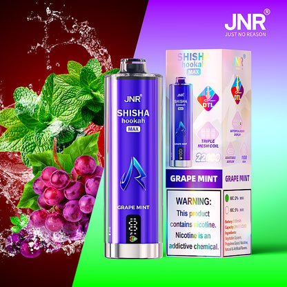 JNR Shisha Hookah Max 22000 22K Puffs DTL Einweg Kit